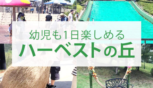 2歳の幼児と楽しめる大阪府堺市のハーベストの丘　緑のミュージアムおススメ遊び場　関西の幼児と遊べるスポット