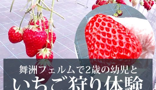 子供と行けるお出かけスポット アーカイブ 太陽光発電 蓄電池を設置した注文住宅