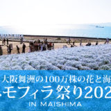 100万株の花と海が楽しめる大阪舞洲のネモフィラ祭り2022