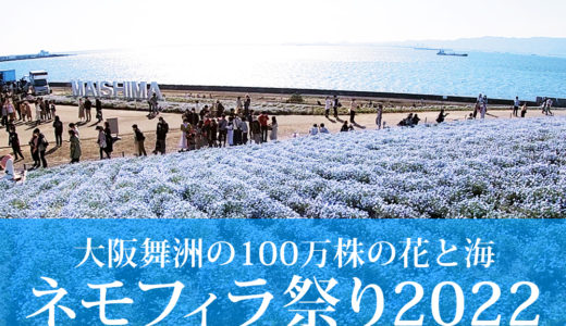 100万株の花と海が楽しめる大阪舞洲のネモフィラ祭り2022。