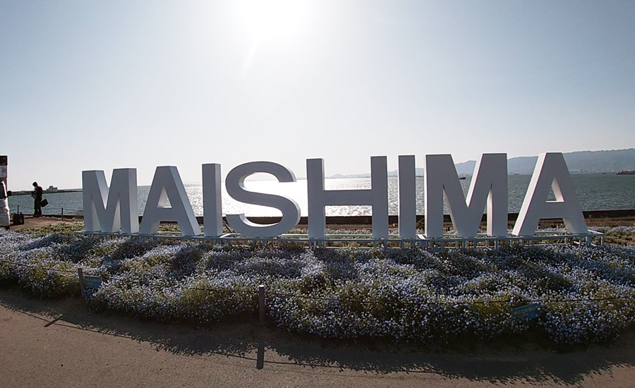 「MAISHIMA」のロゴが海をバックに設置されていて、ロゴと撮影するのもおススメ