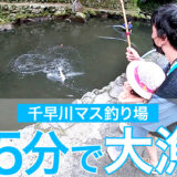 短時間でも大量に釣れるので小さな子供とも気軽に楽しめる大阪のおススメ釣り掘「千早川マス釣り場」