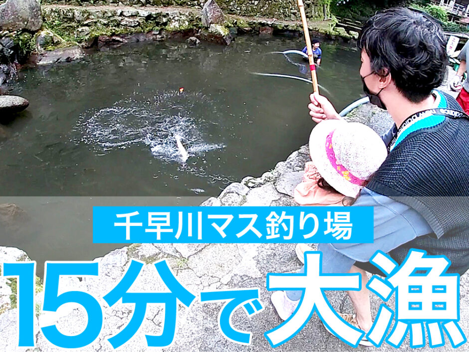短時間でも大量に釣れるので小さな子供とも気軽に楽しめる大阪のおススメ釣り掘「千早川マス釣り場」