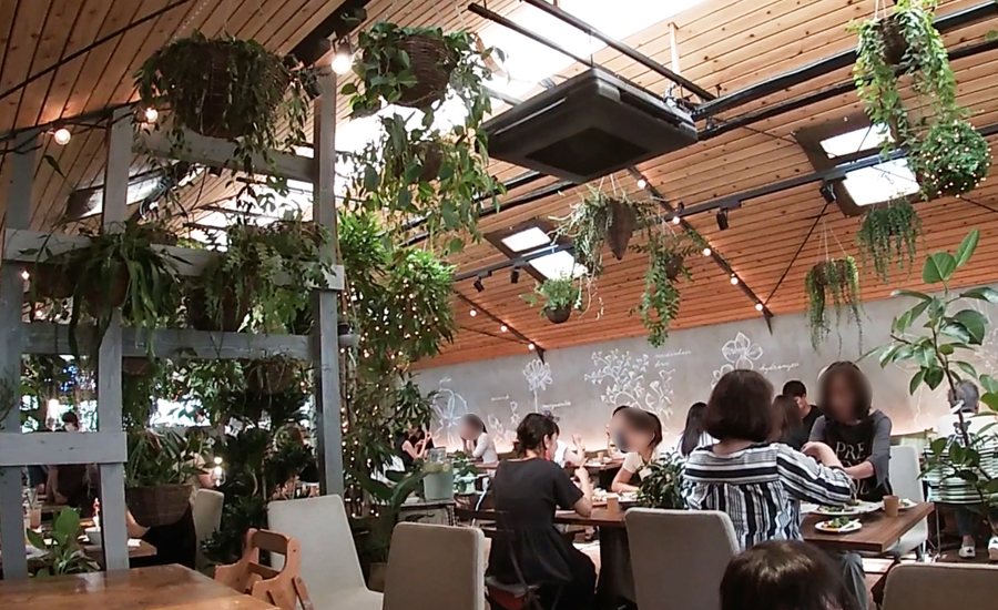 たくさんのお客さんがいるんですが、たくさんの植物や、テーブルの間隔も広めで、ゆったりと居心地のいい空間でした。