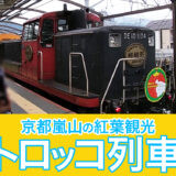 京都嵐山へ行くなら渋滞も回避できる嵯峨野トロッコ列車がおススメ