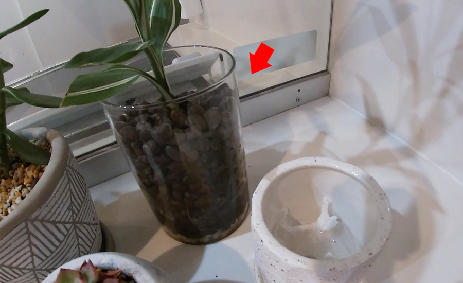ガラスの花瓶は根が目立ってくるので低い植木鉢で隠せていい感じ