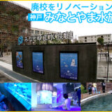 廃校をリノベーションした神戸「みなとやま水族館」。ニジマス釣りやクッションに座ったり寝転びながら見る新感覚の水族館。
