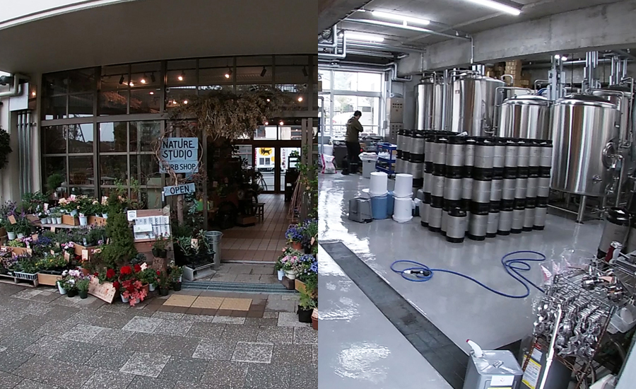 建物の中には観葉植物のお店やビール工房などもあります