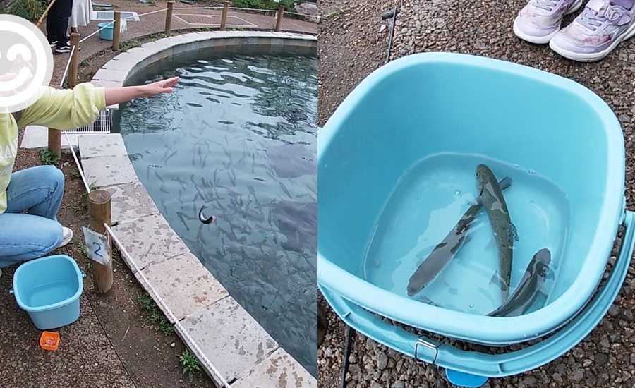 水族館のすぐ前にはマス池があり、1竿2匹付き1500円で遊ぶこともできます