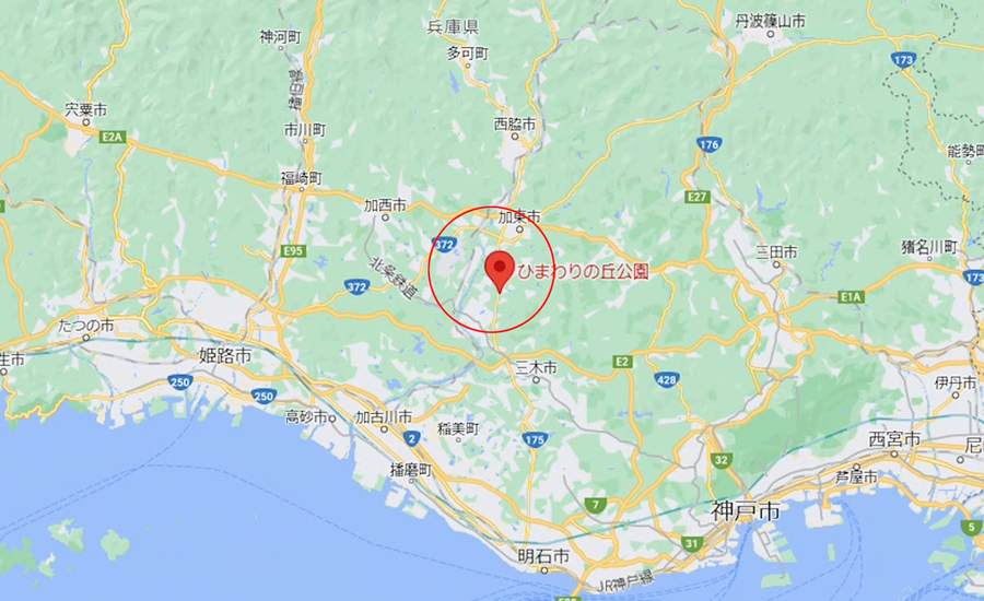 「ひまわりの丘公園」は兵庫県の小野市にあります