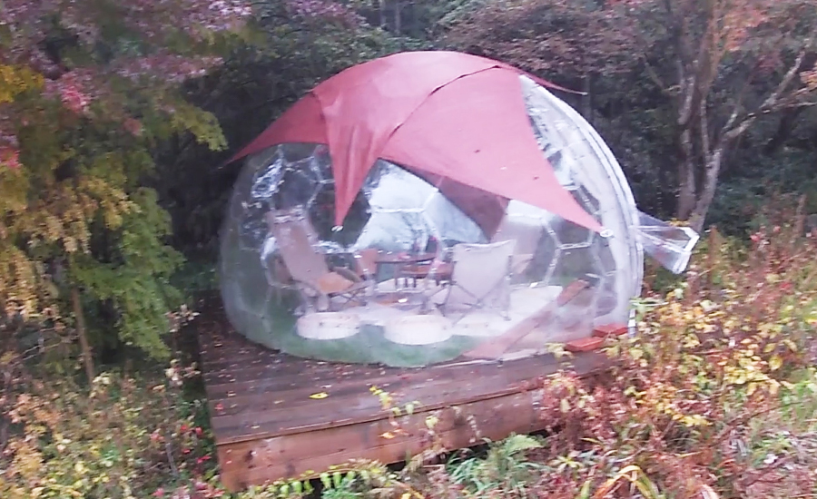 紅葉など季節ごとの森林を間近で楽しむことの出来るドーム型テントもあります(要予約)